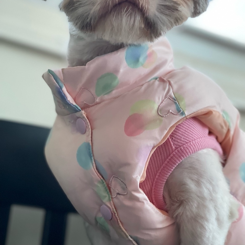 NWT- Heart Embroidered Pet Coat Size XL - Picture 2 of 11